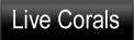 LiveCorals