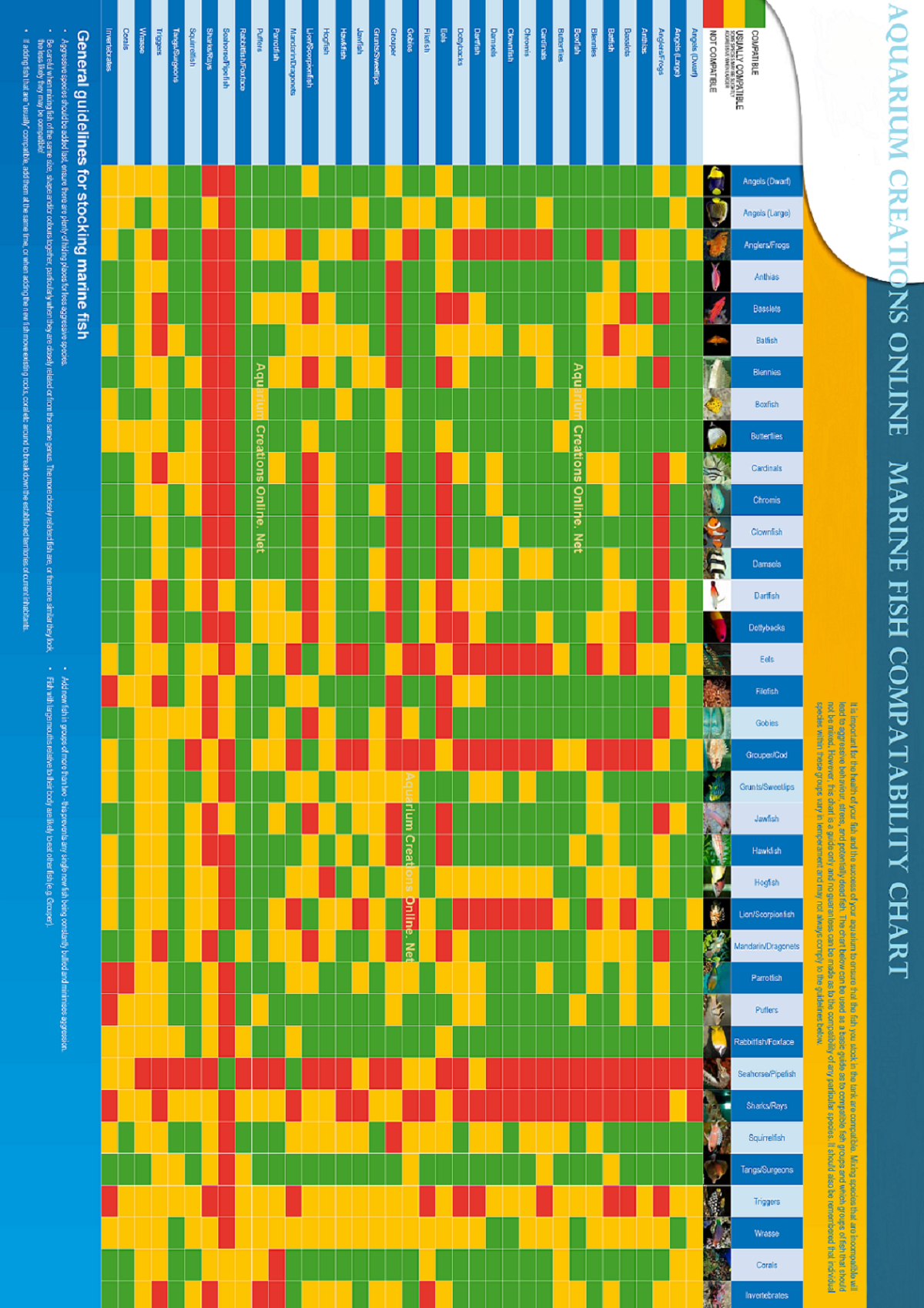 Marine Fish Compatibility Chart