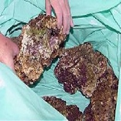 Click for How We Hand Pick and Pack Live Rock