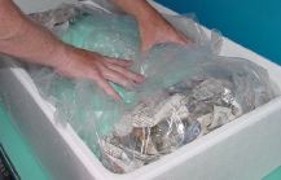 The ends
        of the clear plastic sheeting are then <BR>
        overlapped over the sealed bags and taped.