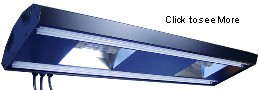 Saltwater Aquarium Metal Halide Lighting
