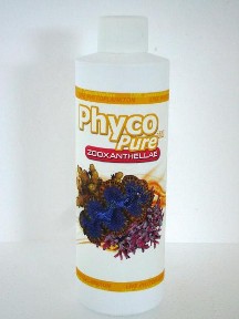 AlgaGen PhycoPure Zooxanthellae
