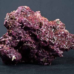 Click for Real Reef Live Rock