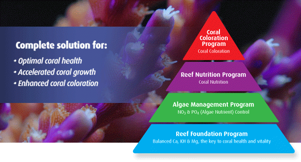 The Red Sea Reef Care Program