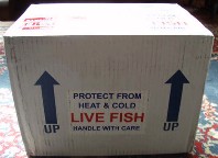 For keeping temperatures optimized inside the shipping cooler Aquarium Creations adds heat or ice packs depending on outside temperatures where package is shipping to. Image shows Aquarium Creations Marine Life Package Ready to be Shipped Out.