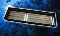 T5 Aquarium Lighting Fixtures