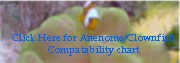 The large Clownfish Anemone Chart lets you know which clownfish will use which anemone as their home.