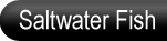 Aquarium Saltwater Fish