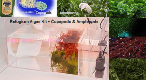 Refugium Starter Package